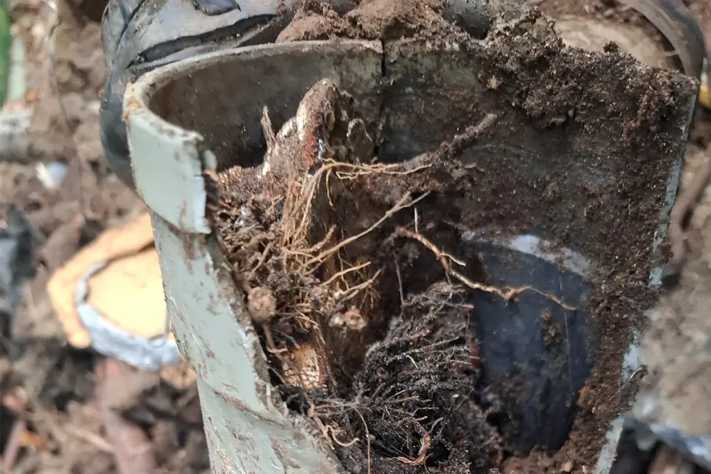 Drain Repairs & Drain Laying