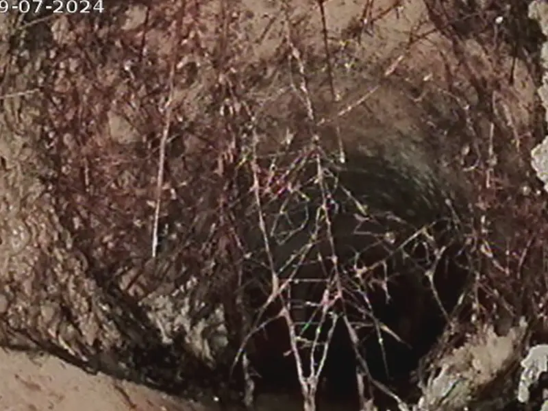 CCTV drain inspections