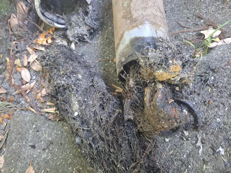 Drain Repairs & Drain Laying